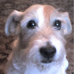 ���� �������, ������, 52 ���� - ��������� 25 ������ 2012