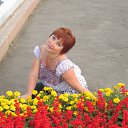 ���� ����, ���� - ��������� 19 ������� 2012 � ������ ���� ����������