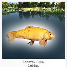 ���� ������, �������, 38 ��� - ��������� 6 ������ 2011