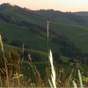 ���� ������, ������, 46 ��� - ��������� 17 ���� 2010 � ������ ������ 2010�