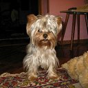 ���� �����, ����, 53 ���� - ��������� 4 ����� 2012 � ������ ���� ����������