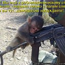 ���� Ivan, ������ - ��������� 24 ������ 2011 � ������ �������