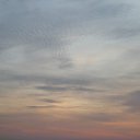  , , 66  -  6  2011   ,