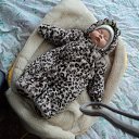 ���� ���������, ������, 47 ��� - ��������� 13 ������ 2012 � ������ ���� ����������