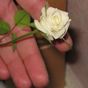 ���� ��������, ��������������, 50 ��� - ��������� 27 ������ 2011 � ������ �BEST!!!!!�