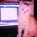 ���� N@tasha, ����������� - ��������� 11 ������� 2009 � ������ ������� ������� � ����