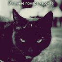 ���� ˸��, ����, 44 ���� - ��������� 26 ���� 2012 � ������ ������