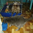 ���� �����, �����-���������, 57 ��� - ��������� 26 ������� 2010 � ������ �������