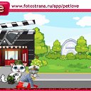 ���� �����, �����, 51 ��� - ��������� 12 �������� 2010 � ������ �PetLove�