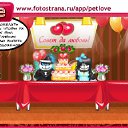 ���� �����, ������, 59 ��� - ��������� 17 ������� 2011 � ������ �PetLove�