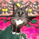 ���� �������, �������, 43 ���� - ��������� 2 ������� 2012 � ������ ���� ����������