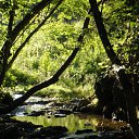 ���� �������, ������ ��������, 55 ��� - ��������� 14 ������ 2012 � ������ ���� ������� �����