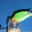 ���� ��������, ���������� ����� - ��������� 19 ����� 2010 � ������ ���� ��������