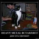 ���� �������, ������, 39 ��� - ��������� 23 ������� 2010 � ������ ��������������