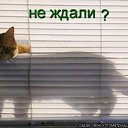 ���� ��, ������������, 39 ��� - ��������� 15 ������� 2011 � ������ ����������
