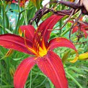 ���� �������, ������, 58 ��� - ��������� 20 ������ 2013