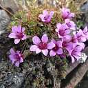 ���� ����, ������ - ��������� 8 ������ 2012 � ������ ���� ����������