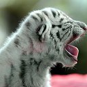 ���� �������, ��������� - ��������� 28 ����� 2012 � ������ ���� ����������