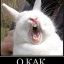 ���� �������, �����, 41 ��� - ��������� 26 ������� 2012