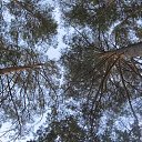 ���� �����, ������, 49 ��� - ��������� 12 ������� 2012 � ������ ������Ż