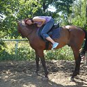  ~_o~, , 62  -  28  2011   0 -   ...