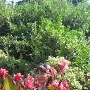 ��������� ������������ ��� �� ������� ������� 2013�