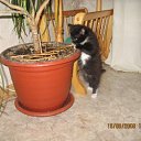 ���� ���������, ������ ��������, 46 ��� - ��������� 26 ������ 2009 � ������ ���� ��������: ��������