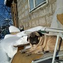 ���� ������, �����-���������, 74 ���� - ��������� 2 ������� 2012