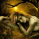 ���� �������, �����������, 49 ��� - ��������� 22 ������ 2012 � ������ ���������