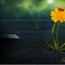 ���� �����, ������, 26 ��� - ��������� 25 ���� 2010 � ������ �������