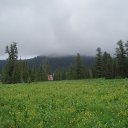 ���� Misty Cloud (�� �������, �� ���� � ������ � ���������)), �������, 43 ���� - ��������� 2 ������ 2010 � ������ ��������