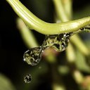 ���� �����, ������, 26 ��� - ��������� 26 �������� 2010 � ������ �����