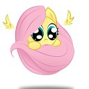 ���� �����, ����-���, 47 ��� - ��������� 18 ������ 2013 � ������ �����