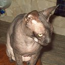 ���� C�������, ������ - ��������� 6 �������� 2011 � ������ �� �� ������� ��������.�