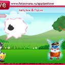  , --, 21  -  17  2011   PetLove