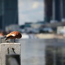 �� ������ �� ������� ���� ������. ������.�