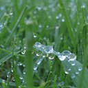 ���� ������, ����� - ��������� 8 ���� 2010 � ������ ����������