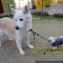 ���� ������, �����, 49 ��� - ��������� 24 ������ 2010