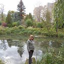 ���� ������ ��������, ������, 41 ��� - ��������� 2 ���� 2013 � ������ ���� ����������