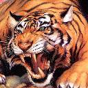 ���� �����, �����������, 50 ��� - ��������� 24 ��� 2012