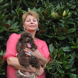 �� � ��������� � ���� �� ������.