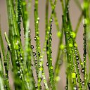 ���� �����, ������, 26 ��� - ��������� 11 �������� 2010 � ������ �����