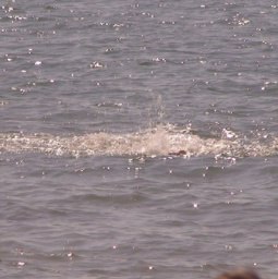 Veaceslav, �����������, 46 ���