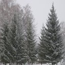 ���� �����, ������, 41 ��� - ��������� 30 ������ 2013 � ������ ����������