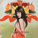 ���� �����, ����� - ��������� 24 ������ 2010 � ������ �Vincent Bakkum�