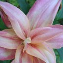 ���� ������, ������, 63 ���� - ��������� 5 ������� 2011 � ������ ������-���� �����-2�