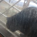 ���� ����, ������, 33 ���� - ��������� 5 ������� 2012 � ������ �05.10.12 ��� ���� ���� �� �������))�