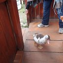 ���� �����, ������������ - ��������� 23 �������� 2012 � ������ ����������