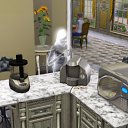 ���� ������, �����, 41 ��� - ��������� 11 ������� 2010 � ������ �Sims 3 (3)�