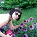 ���� ��������, ����������� - ��������� 16 ���� 2012 � ������ ���� ����������